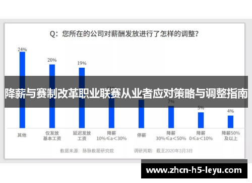 降薪与赛制改革职业联赛从业者应对策略与调整指南