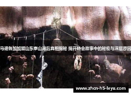 马德鲁加加盟山东泰山背后真相揭秘 揭开转会故事中的秘密与深层原因