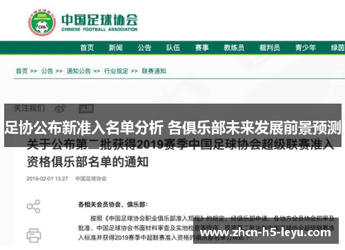 足协公布新准入名单分析 各俱乐部未来发展前景预测